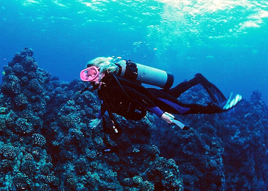 sports-diving-011-large.jpg