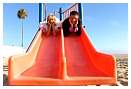 wild_wedding011.jpg