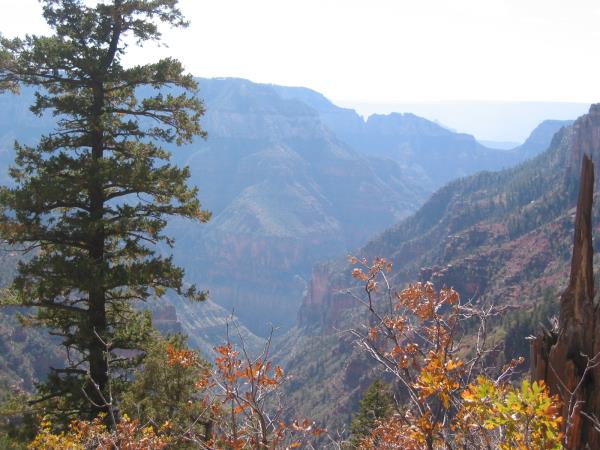 grandcanyon006.jpg